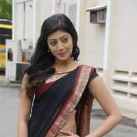 Praneetha hot in transparent black saree | Picture 68328